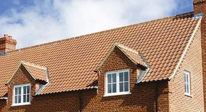 Afbeeldingen van Edilians Panne S rood dakpan