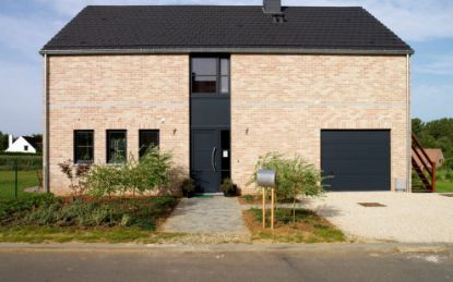 Image de Wienerberger Fleur de Pommier 215x102x65mm Choix lot