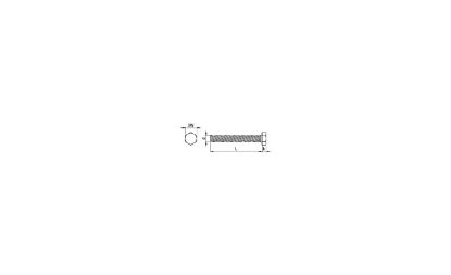 Image de Zeskanttapbout M20 x 100 ZN