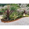 Image de Bordure Core Edge Cort 65 mm 1,6x195x1075 mm