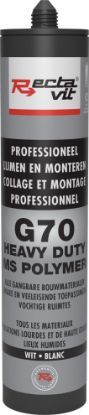 Image de Rectavit G70 Heavy Duty Wit 290ml